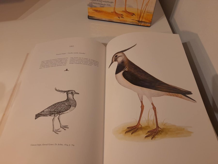 Le Livre des Oiseaux d'Olof Rudbeck le Jeune | Köp på Tradera