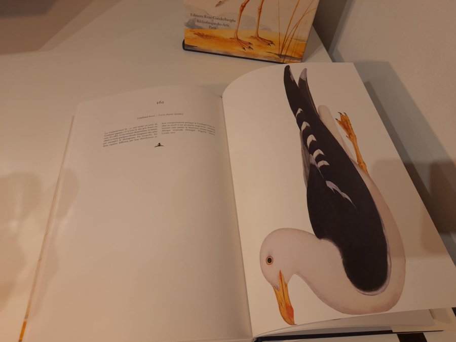 Le Livre des Oiseaux d'Olof Rudbeck le Jeune | Köp på Tradera