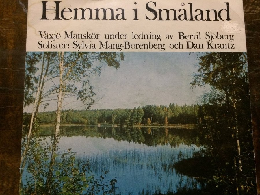 växjö singlar vaggeryd dejt aktiviteter