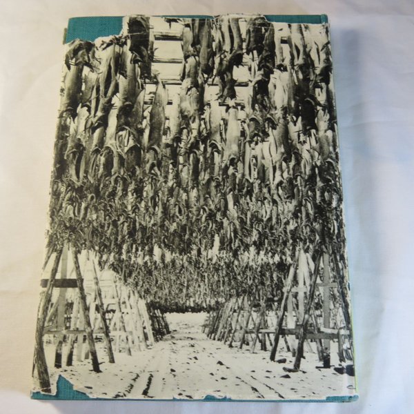 galleryimage 2 zoomed in