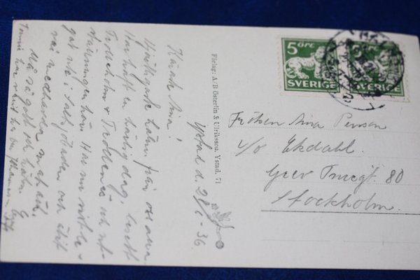 galleryimage 2 zoomed in