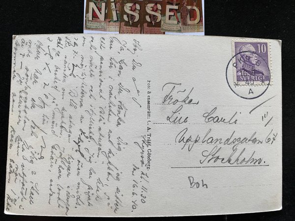 galleryimage 2 zoomed in