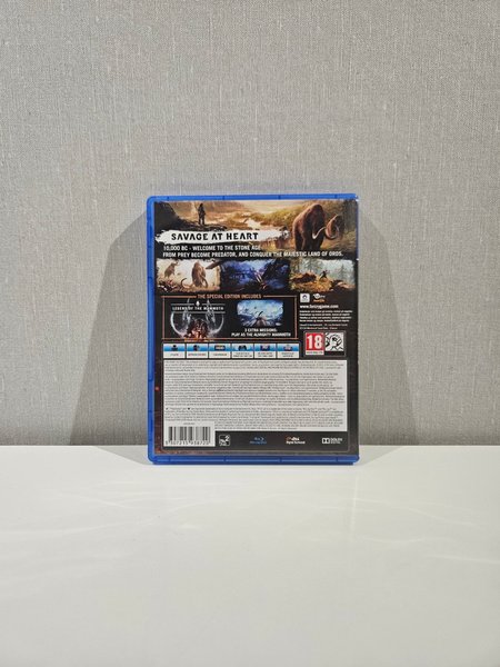 galleryimage 2 zoomed in