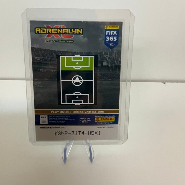 galleryimage 2 zoomed in