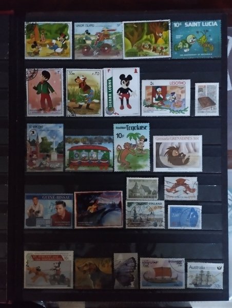 galleryimage 2 zoomed in