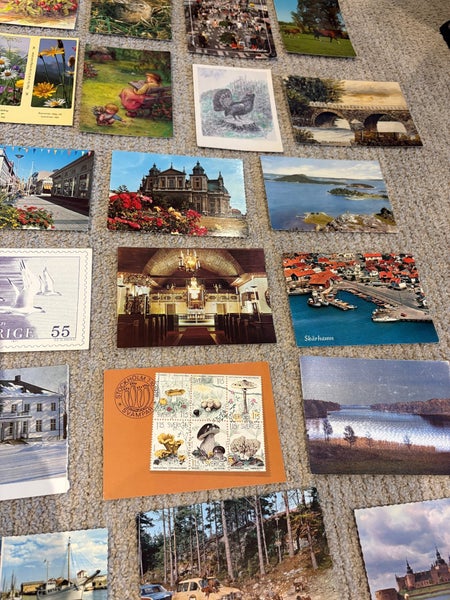 galleryimage 3