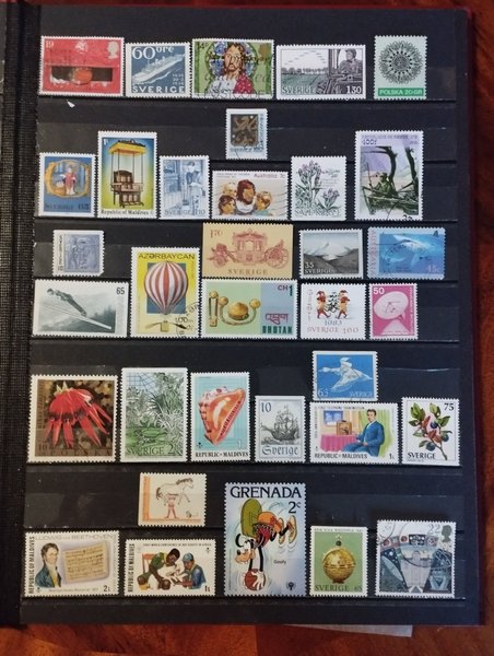 galleryimage 2