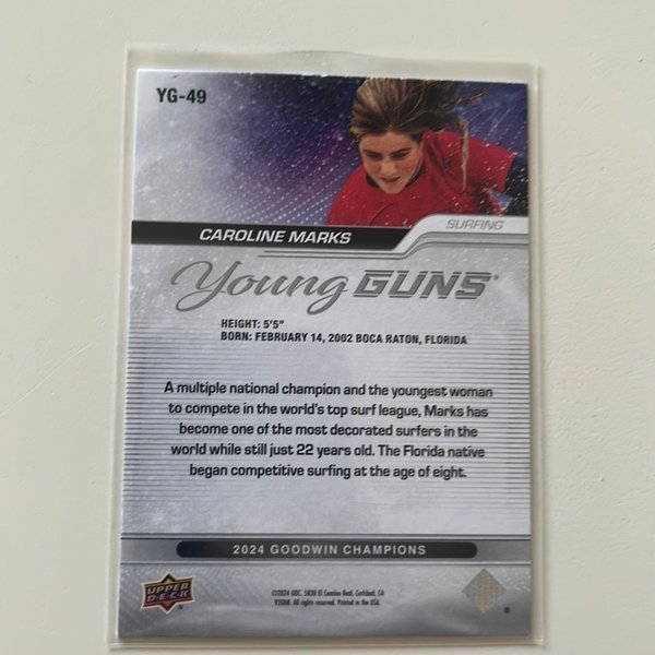 galleryimage 2 zoomed in