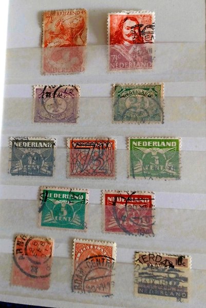 galleryimage 2
