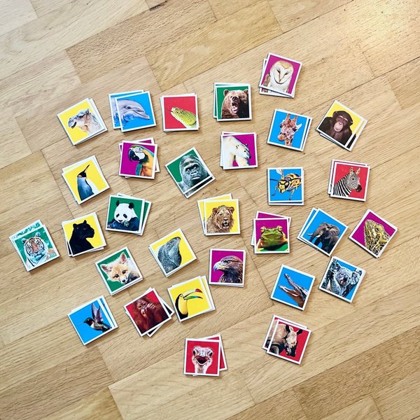 galleryimage 3