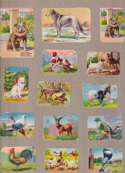 galleryimage 3