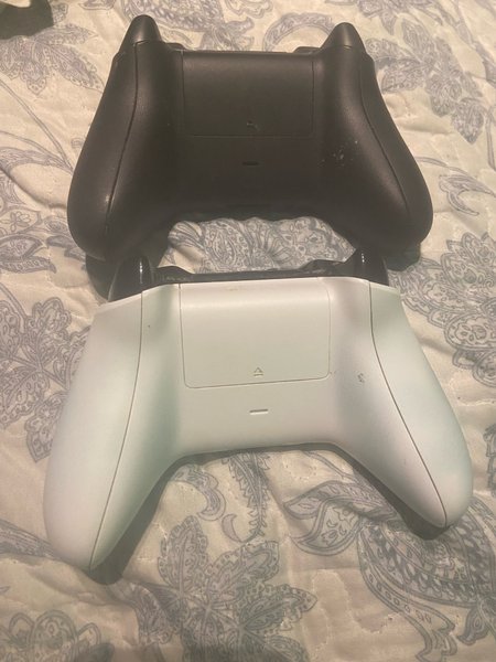 galleryimage 2 zoomed in