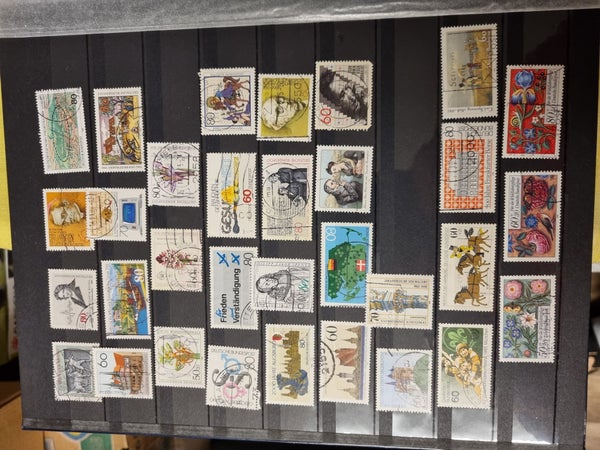 galleryimage 3