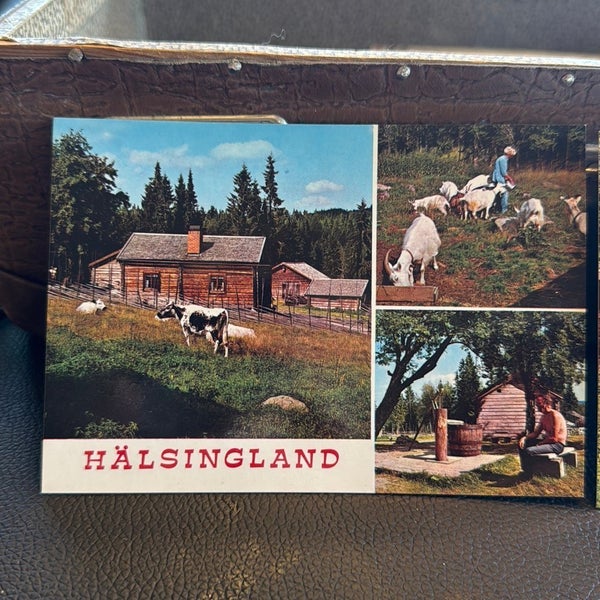galleryimage 2