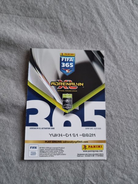 galleryimage 2 zoomed in