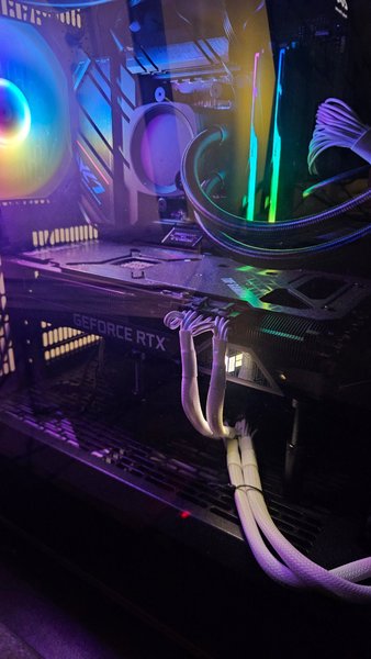 galleryimage 2 zoomed in