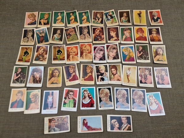 galleryimage 2 zoomed in