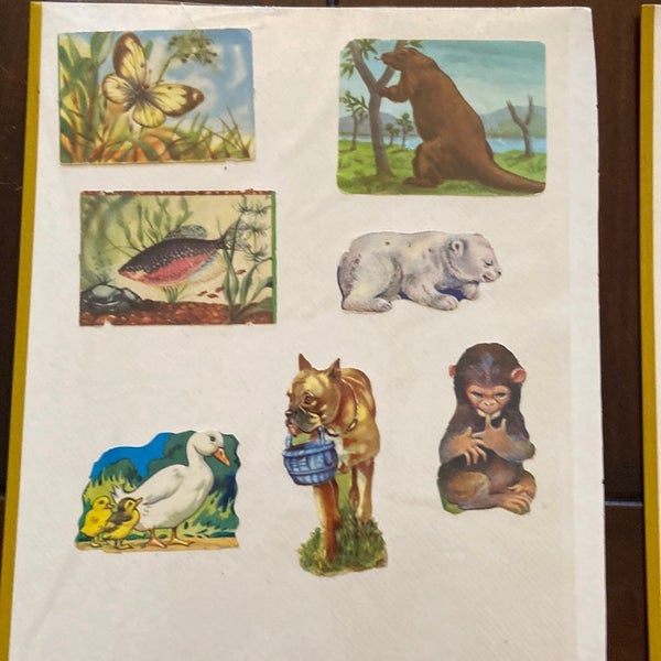 galleryimage 3
