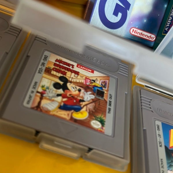 galleryimage 3