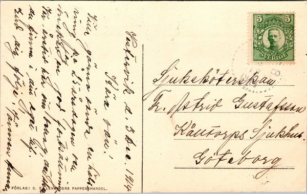 galleryimage 2 zoomed in