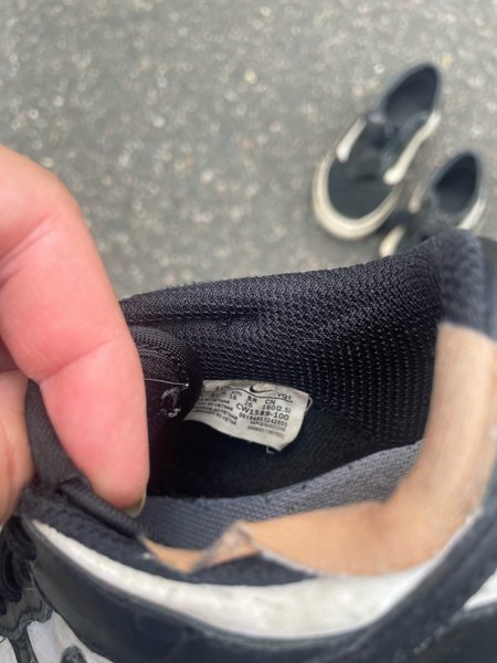 galleryimage 2 zoomed in