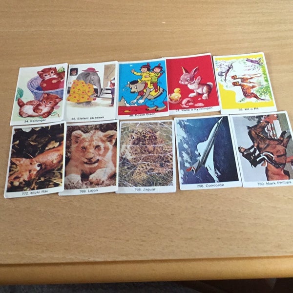 galleryimage 2