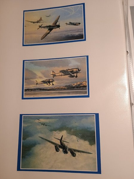 galleryimage 3