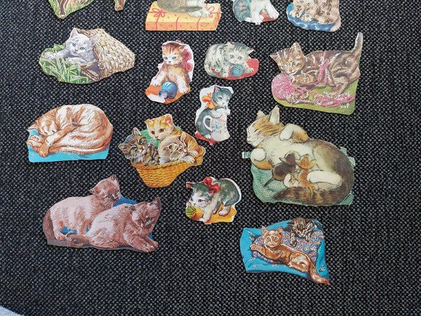 galleryimage 3