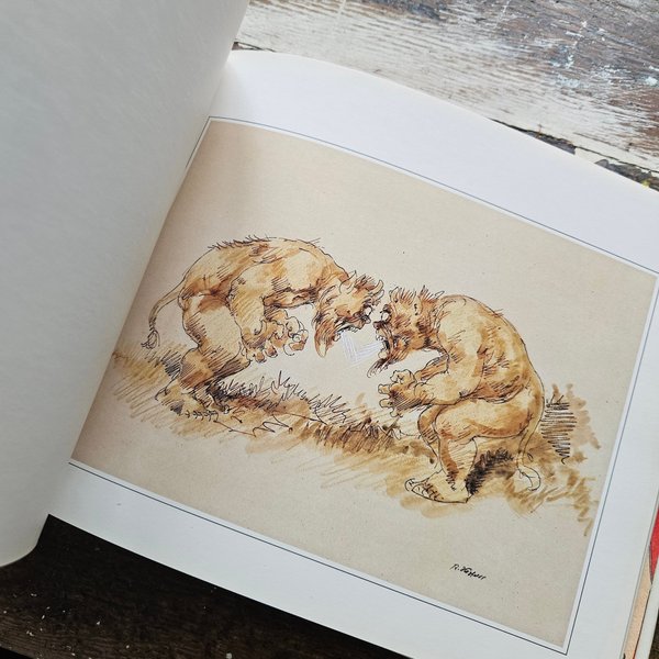 galleryimage 3