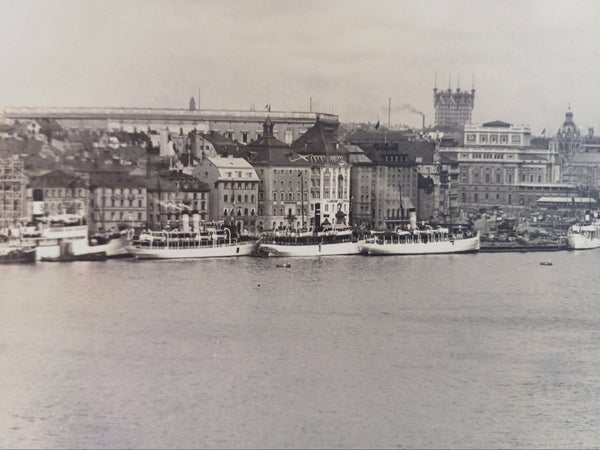 galleryimage 2