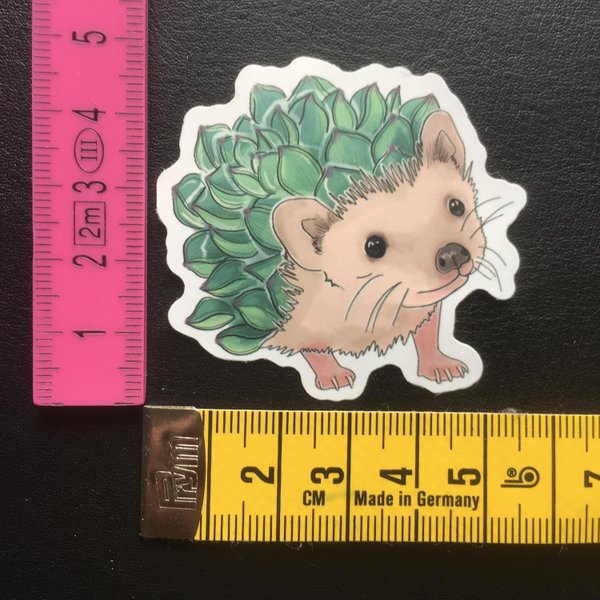 galleryimage 2 zoomed in