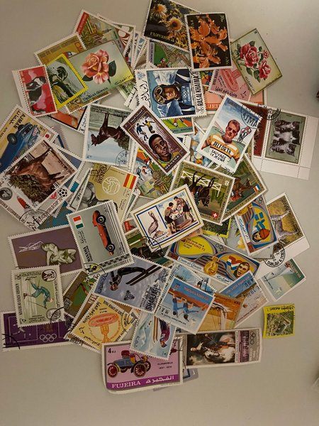 galleryimage 2 zoomed in