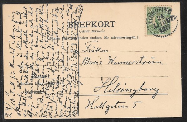 galleryimage 2 zoomed in