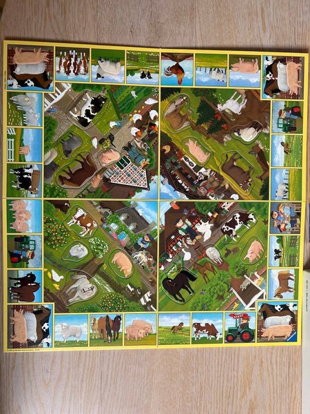 galleryimage 3