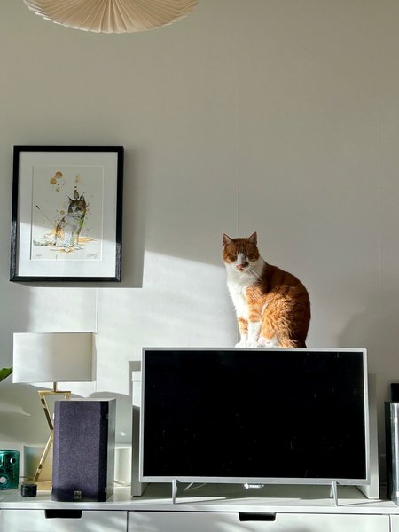 galleryimage 3
