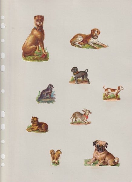 galleryimage 3