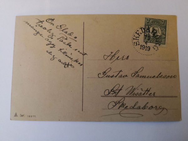 galleryimage 2 zoomed in