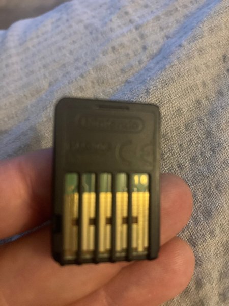 galleryimage 2 zoomed in