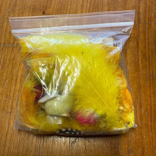 galleryimage 2 zoomed in