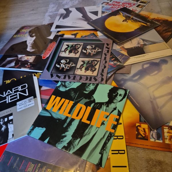 galleryimage 3