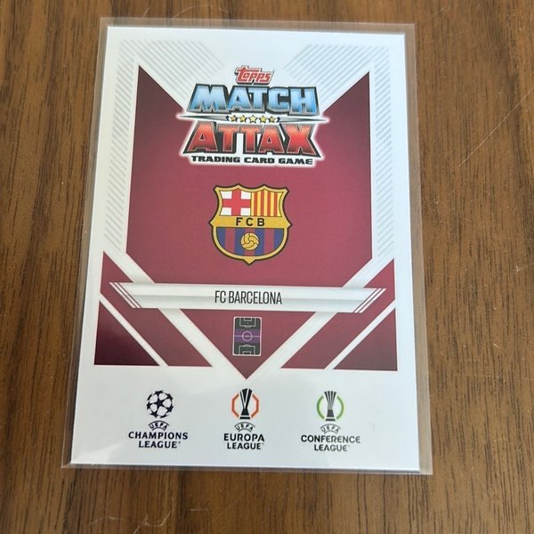 galleryimage 2 zoomed in