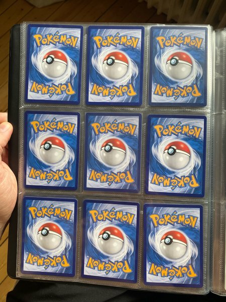 galleryimage 2 zoomed in