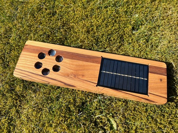 galleryimage 2 zoomed in