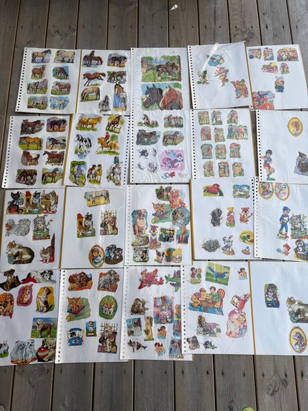 galleryimage 2