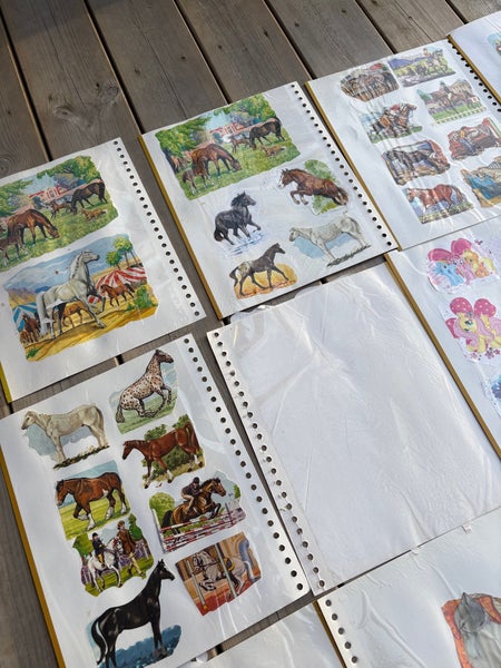 galleryimage 3