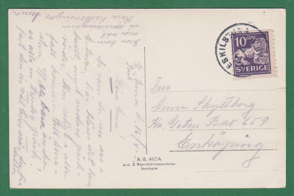 galleryimage 2 zoomed in