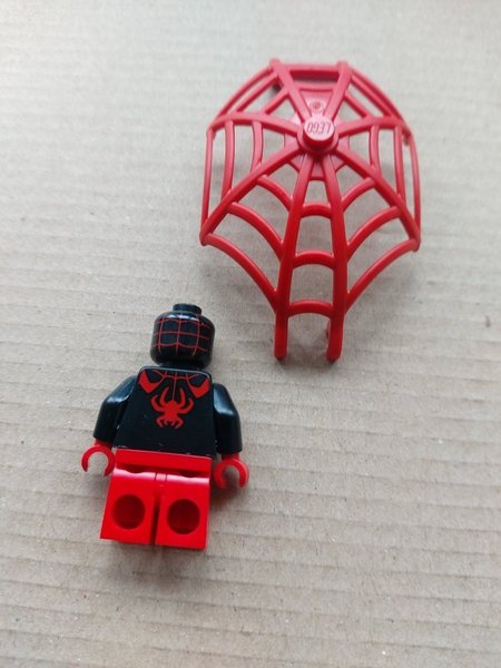 galleryimage 2 zoomed in