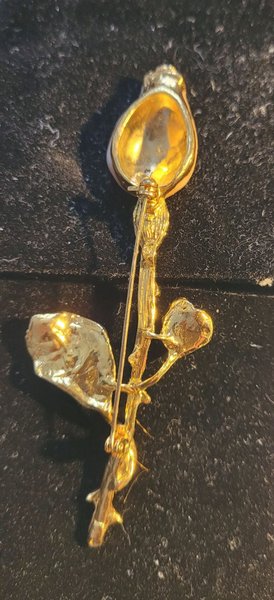 galleryimage 2 zoomed in