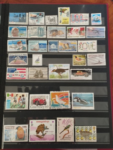 galleryimage 2