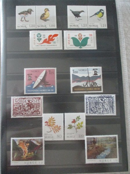 galleryimage 3